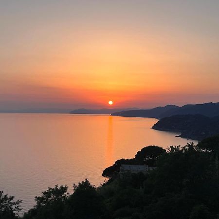 Hotel La Giada Del Mesco Levanto Eksteriør bilde